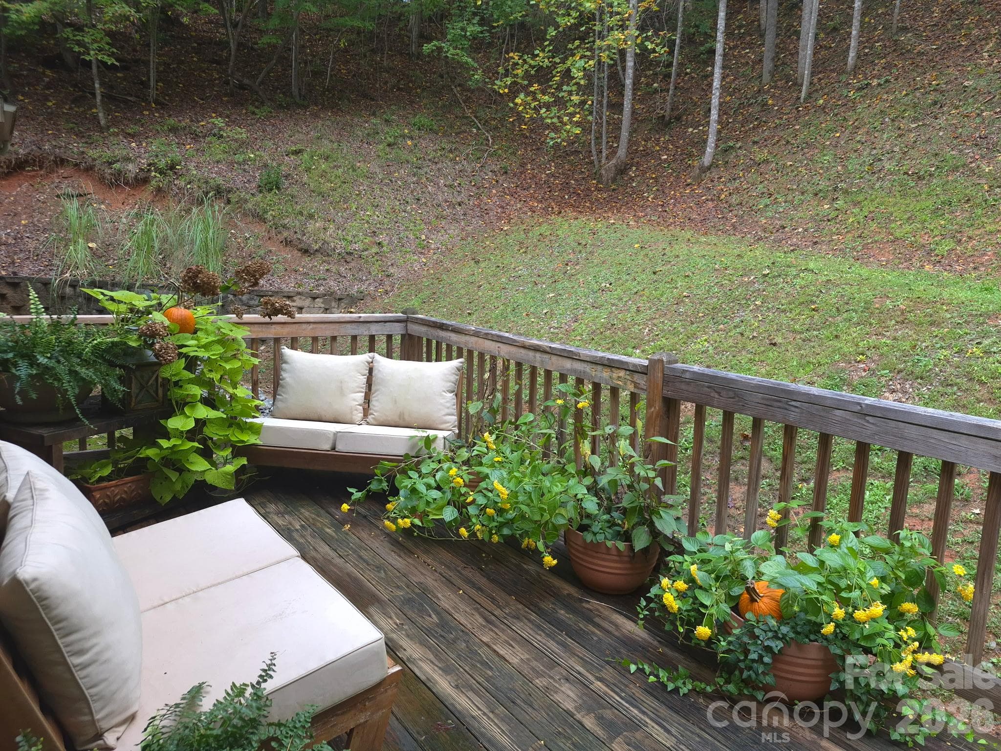 Single Family Residence at 237 Mallard Road, Lake Lure, photo 3 of 54