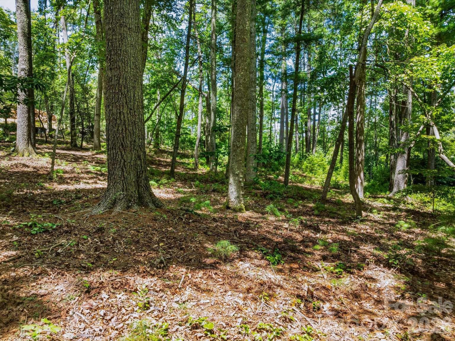 Lot at 31 Promenade Drive, Asheville, photo 12 of 20
