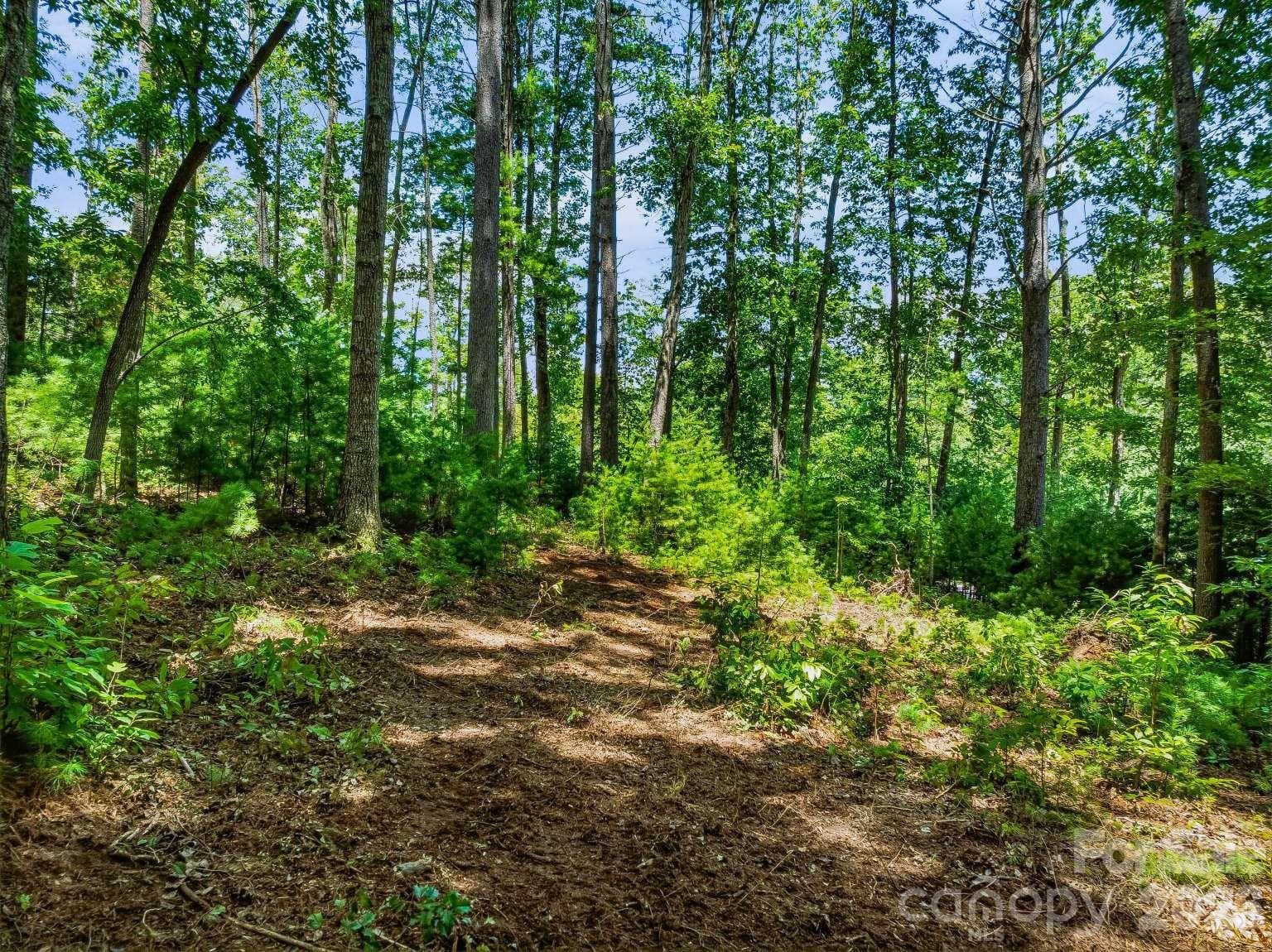 Lot at 31 Promenade Drive, Asheville, photo 13 of 20