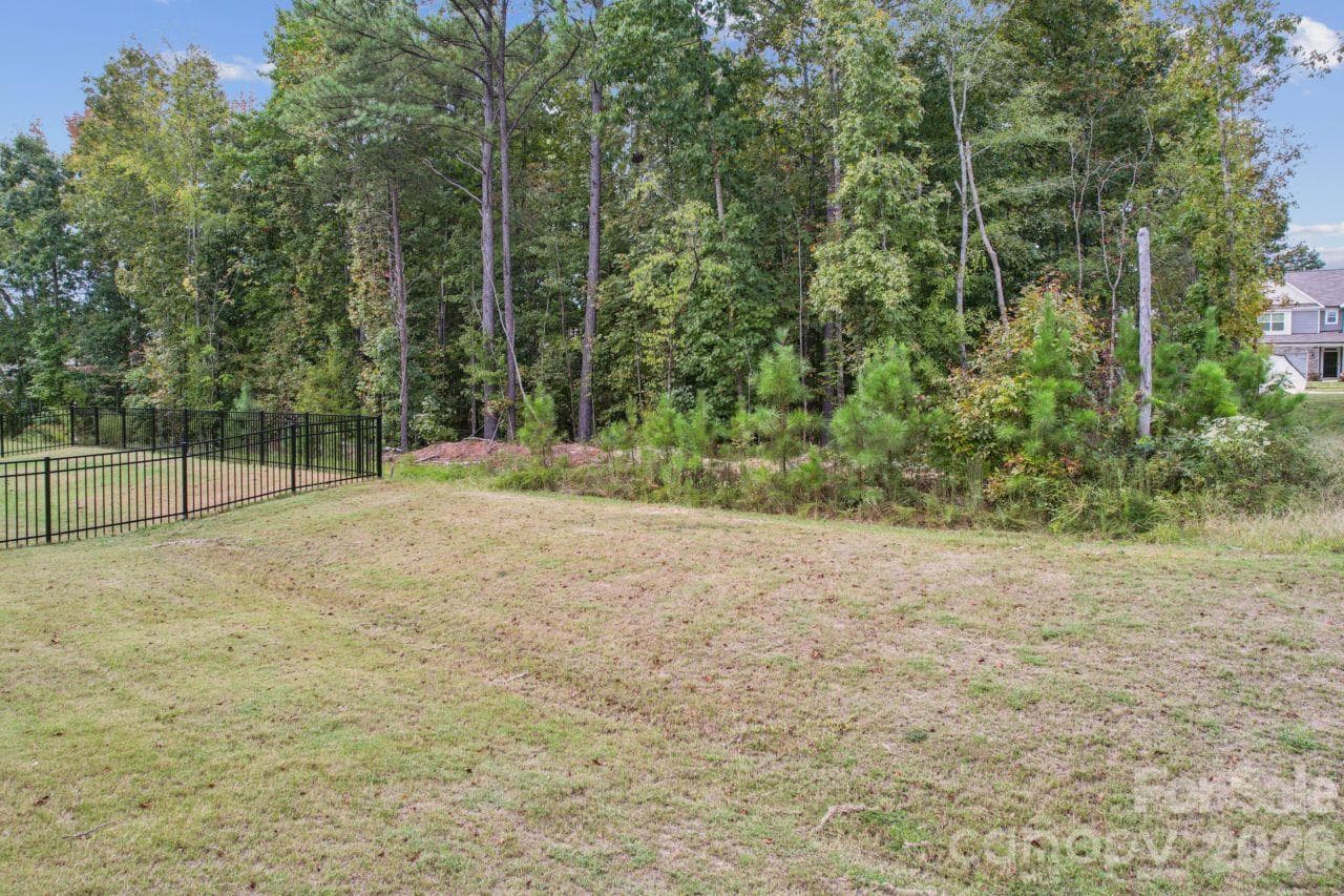 Backyard - 8704 Frank Grier Road, Charlotte