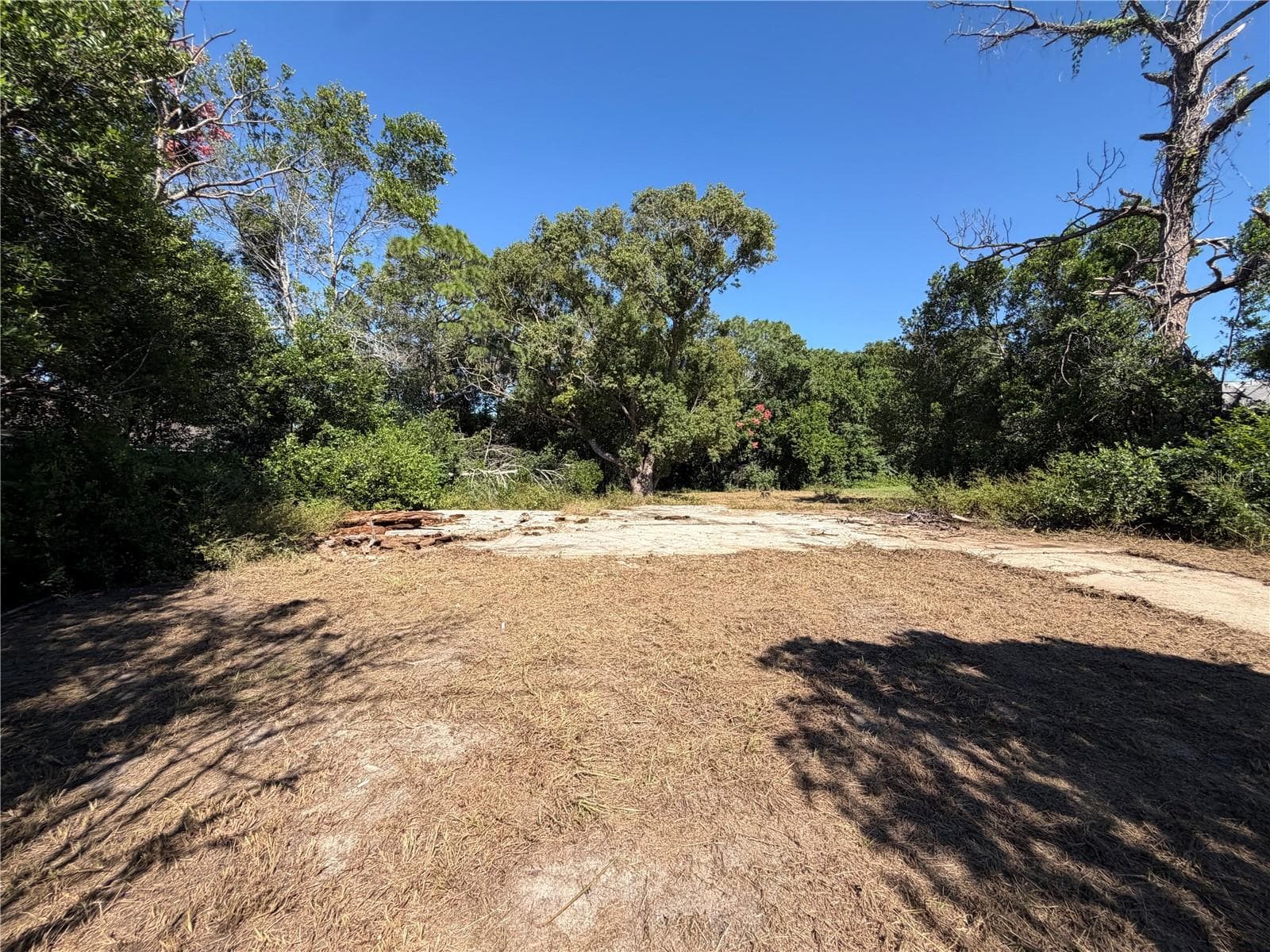 Land at 11411 SAGAMORE ST, SPRING HILL, photo 4 of 12