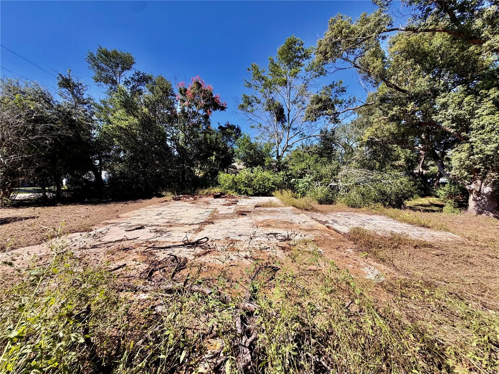 Land at 11411 SAGAMORE ST, SPRING HILL, photo 5 of 12