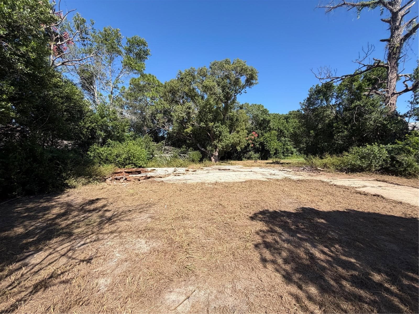 Land at 11411 SAGAMORE ST, SPRING HILL, photo 8 of 12
