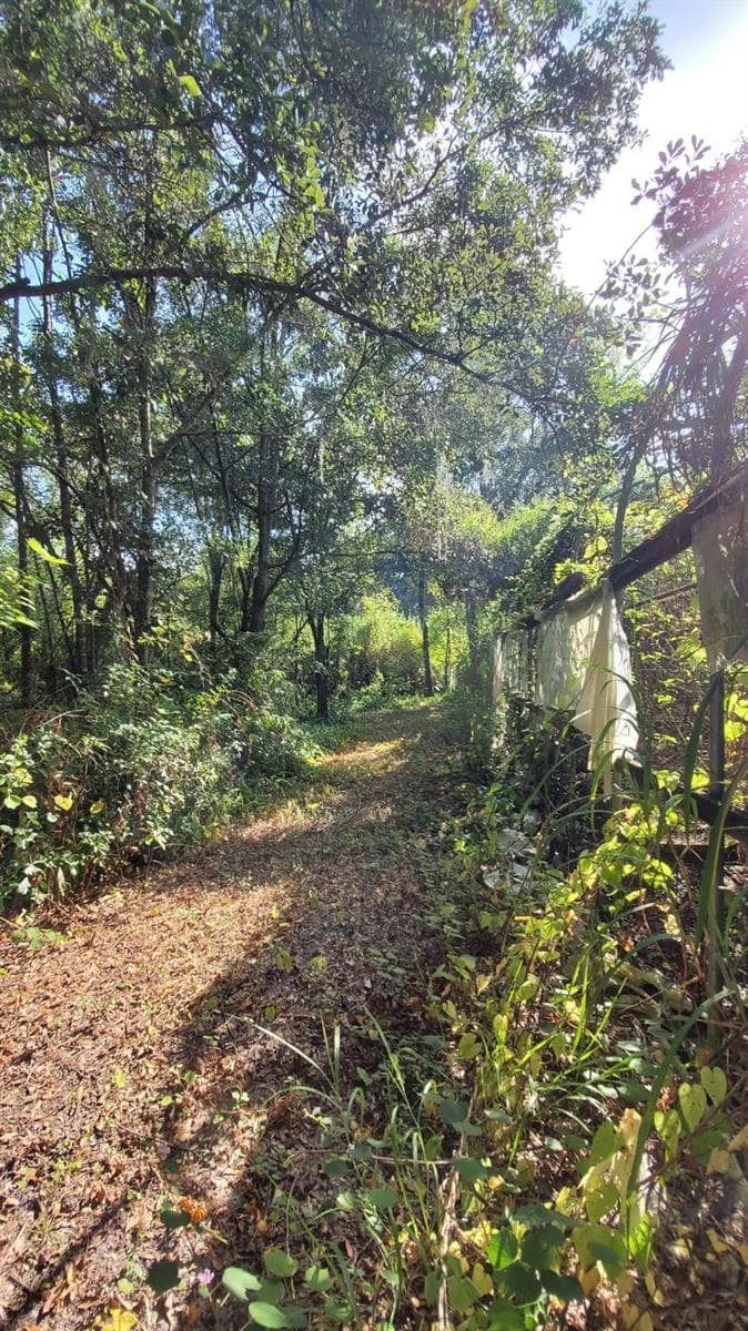Land at 200 W ENGLISH ST, PLANT CITY, photo 23 of 27