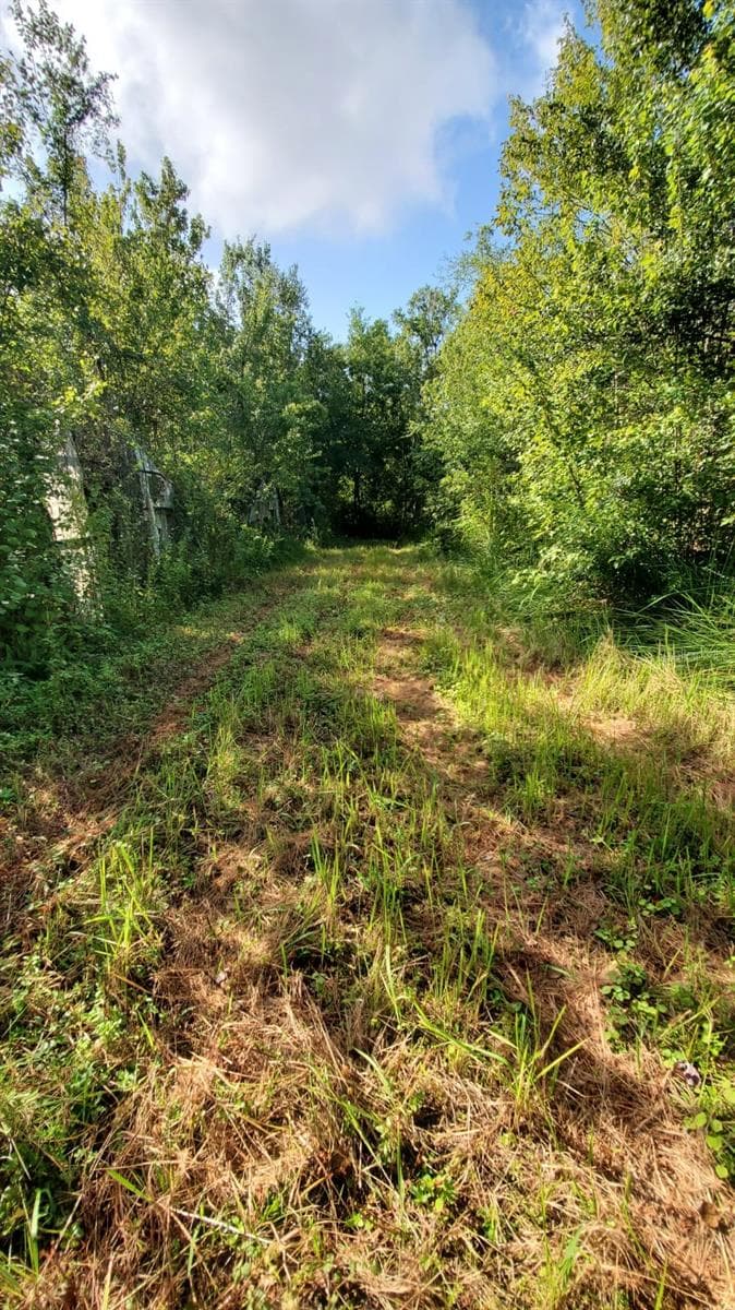 Land at 200 W ENGLISH ST, PLANT CITY, photo 27 of 27