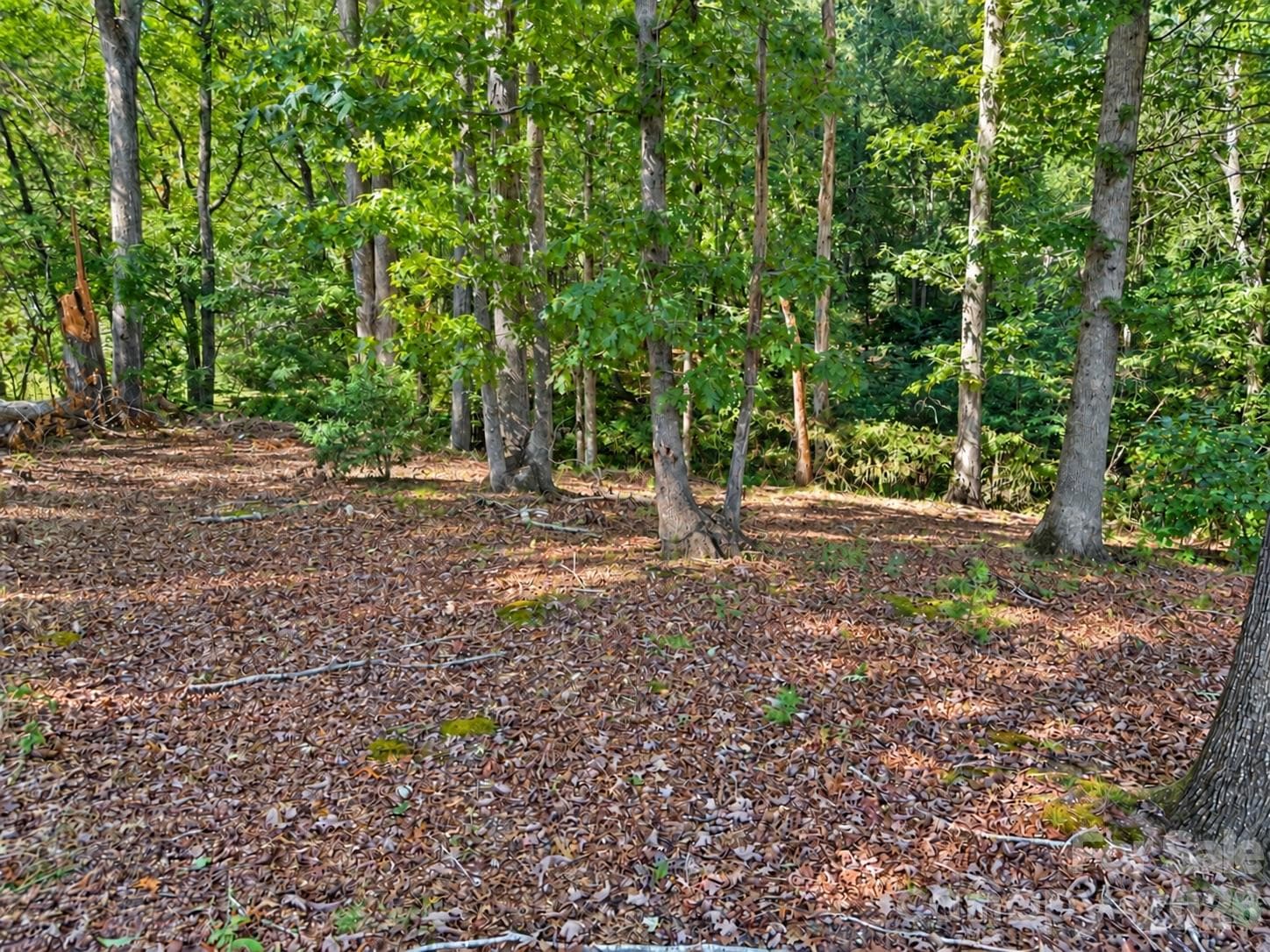 Lot at 130 + 140 College Circle, Connelly Springs, photo 2 of 11
