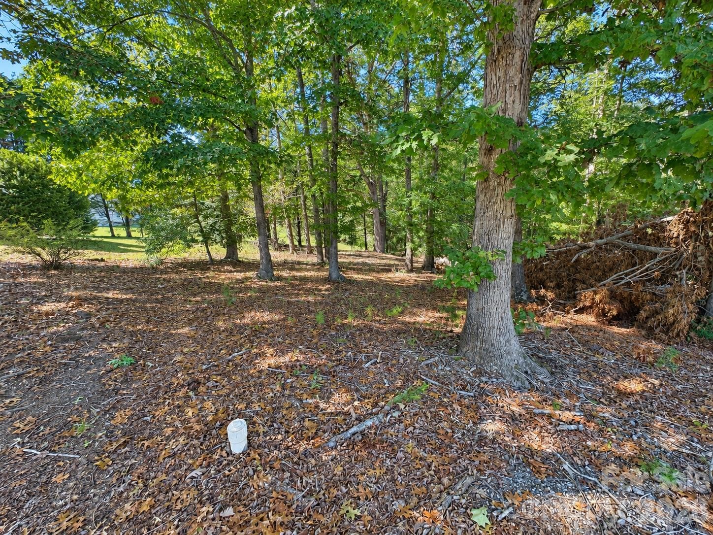 Lot at 130 + 140 College Circle, Connelly Springs, photo 9 of 11