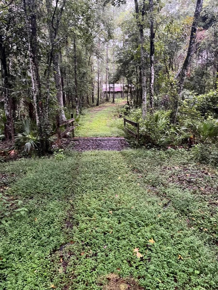 Farm at 17931 SE COUNTY ROAD 234, MICANOPY, photo 92 of 94