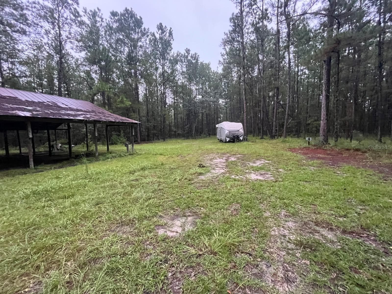 Farm at 17931 SE COUNTY ROAD 234, MICANOPY, photo 93 of 94
