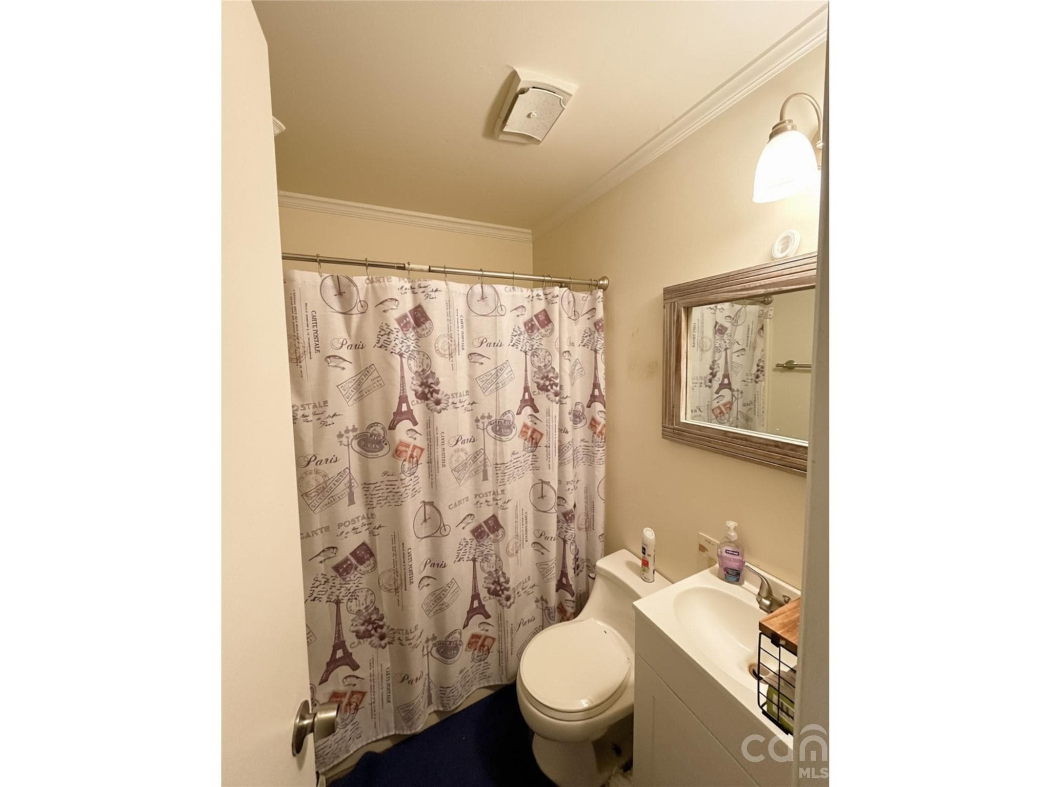 Bathroom - 9101 Milton Morris Drive, Charlotte