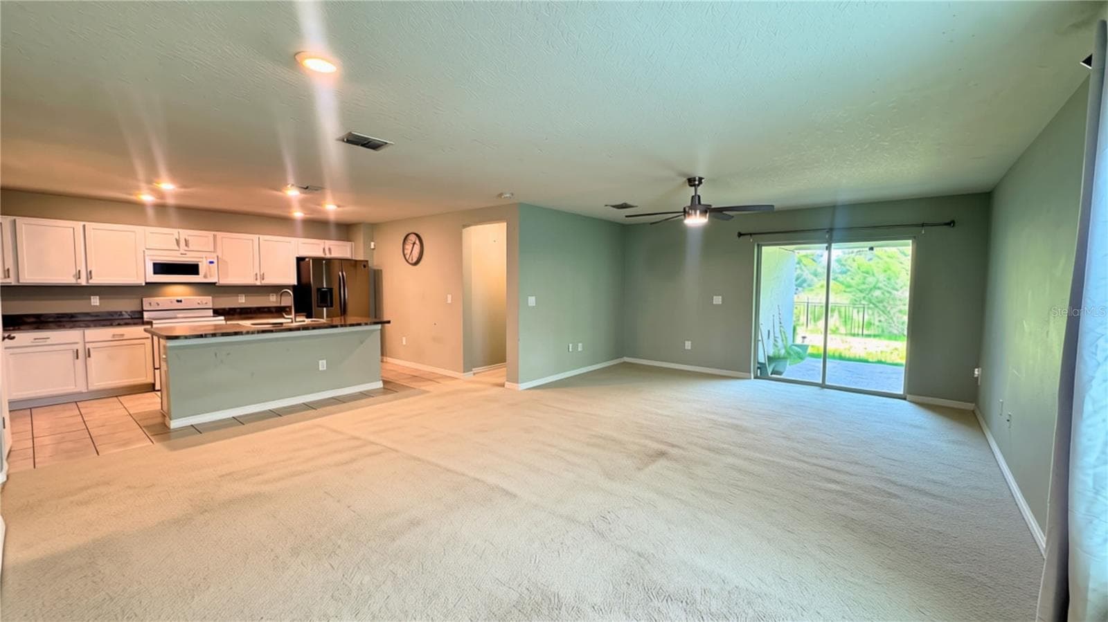 Single Family Residence at 11636 LITTLE RIVER WAY, PARRISH, photo 13 of 50