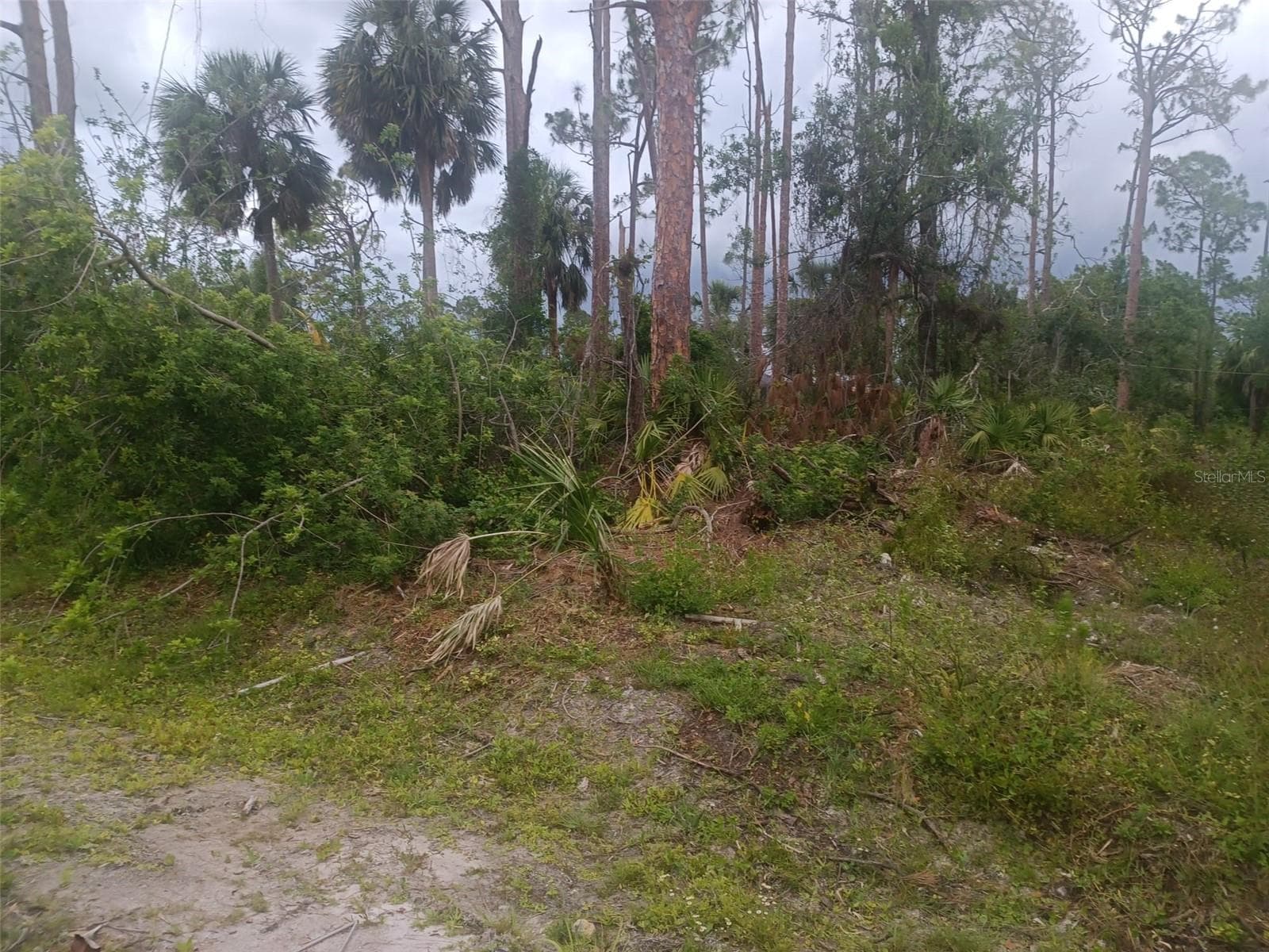 Land at 18178 DRIGGERS AVE, PORT CHARLOTTE, photo 3 of 3