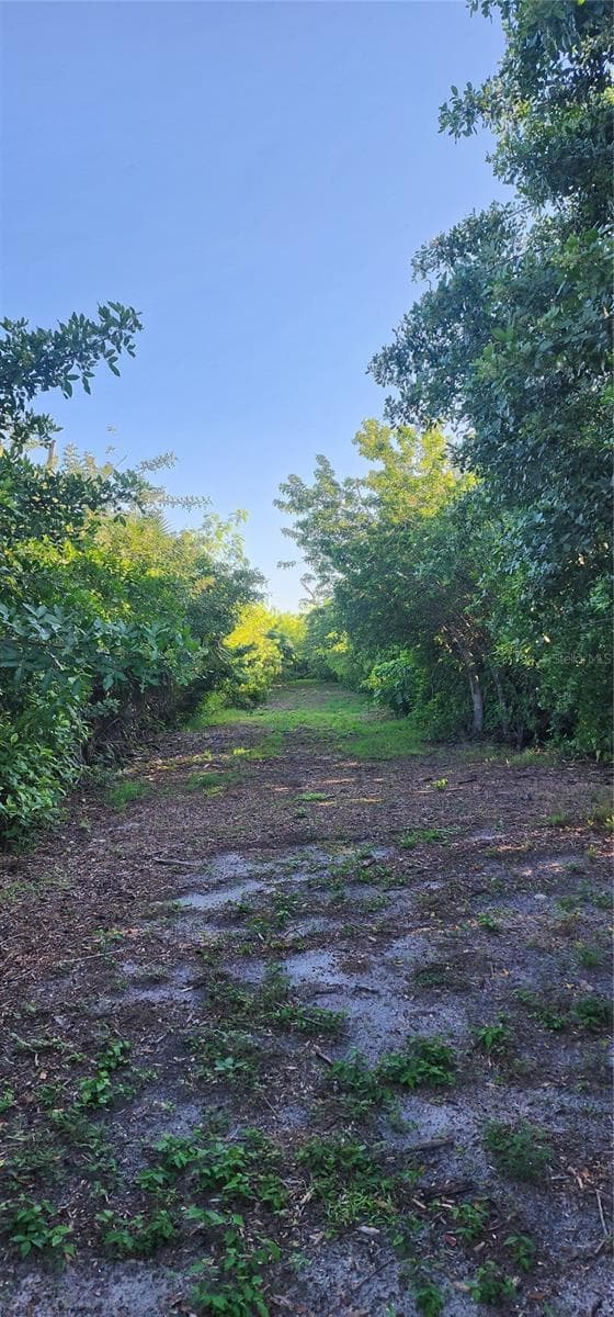 Land at 7405 FLORIDA ST, PUNTA GORDA, photo 6 of 8
