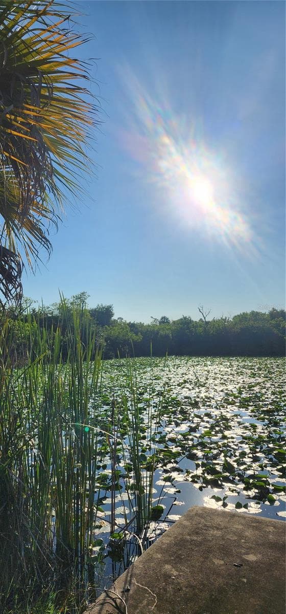 Land at 7405 FLORIDA ST, PUNTA GORDA, photo 8 of 8