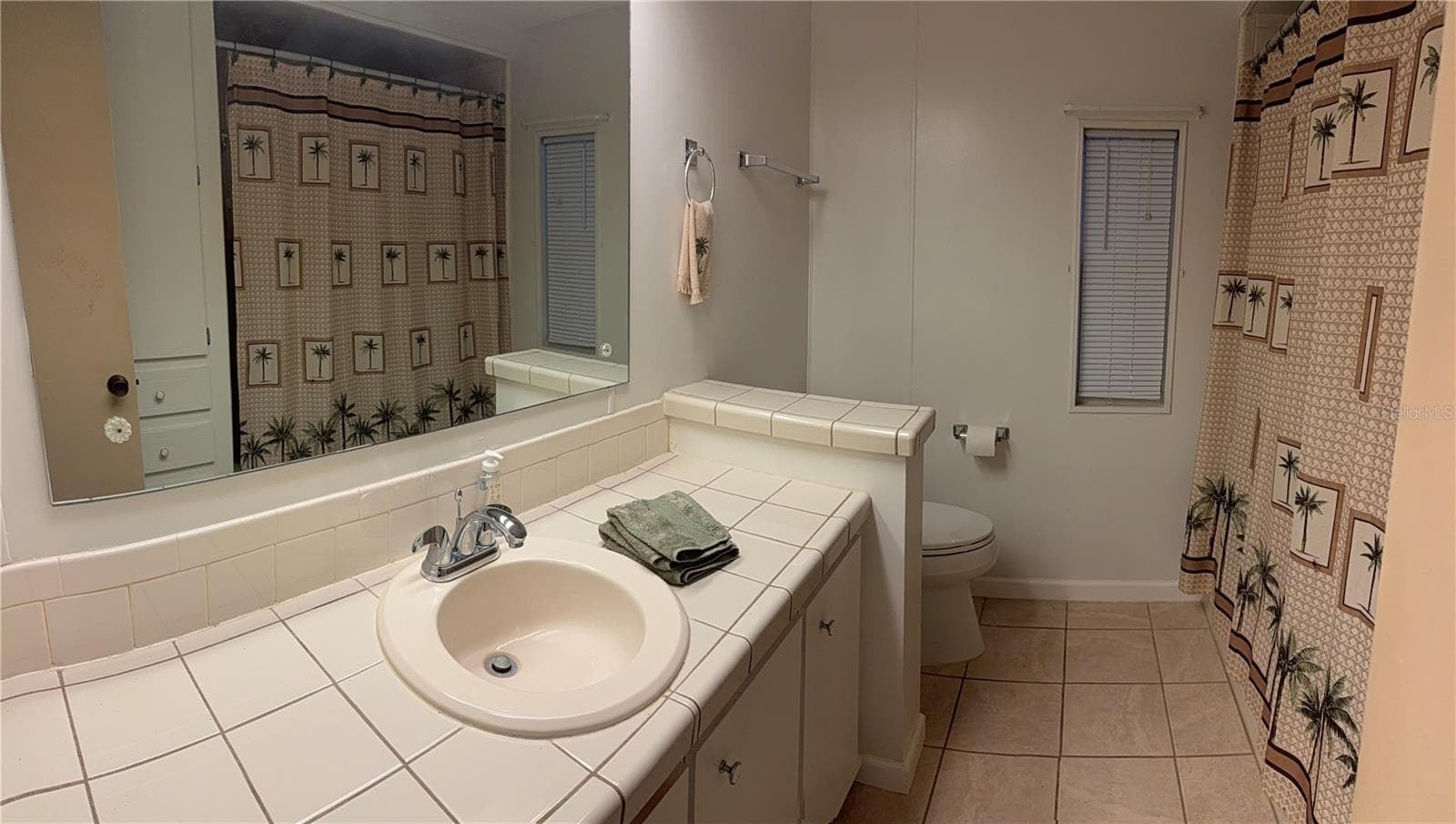 Bathroom - 3301 2ND ST BLVD #261, DUNEDIN