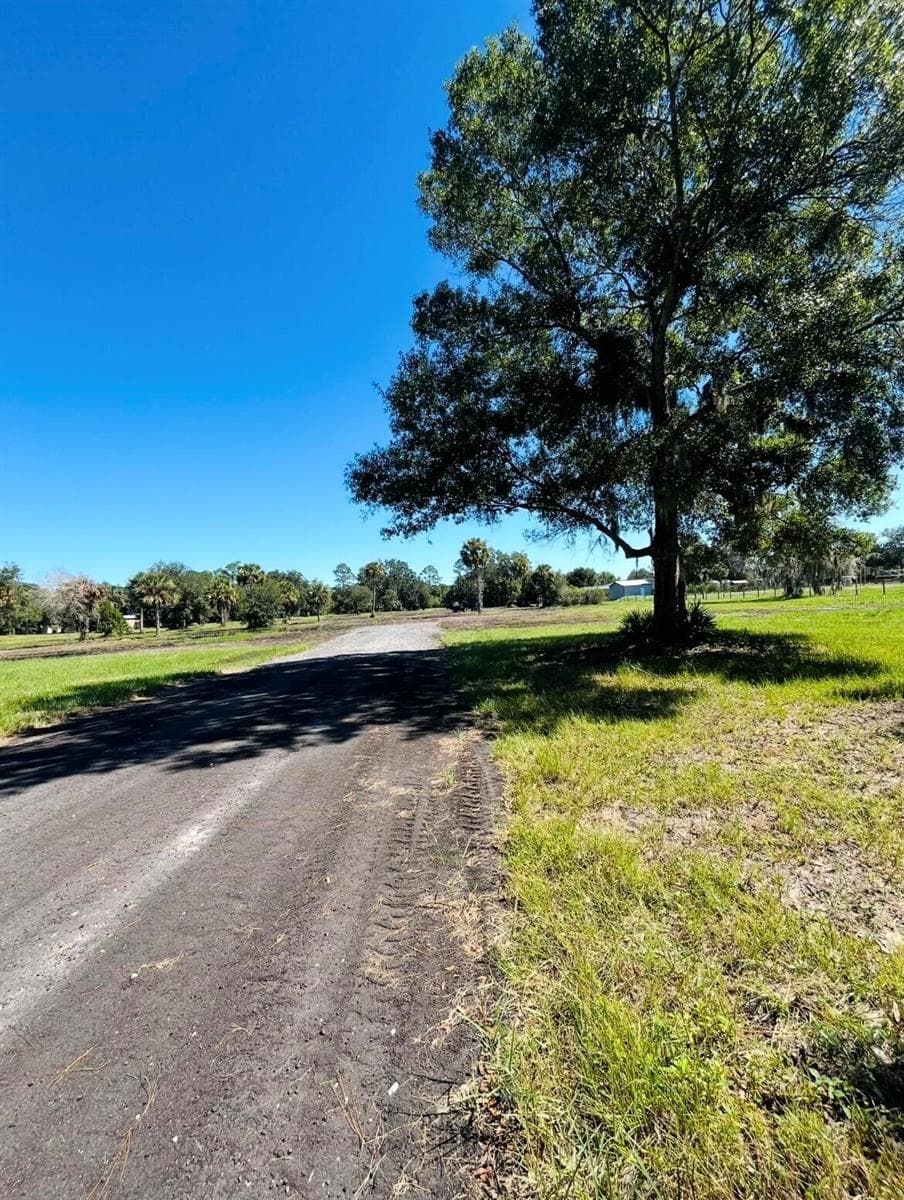 Land at 0 FAVORETTA RD, BUNNELL, photo 2 of 6