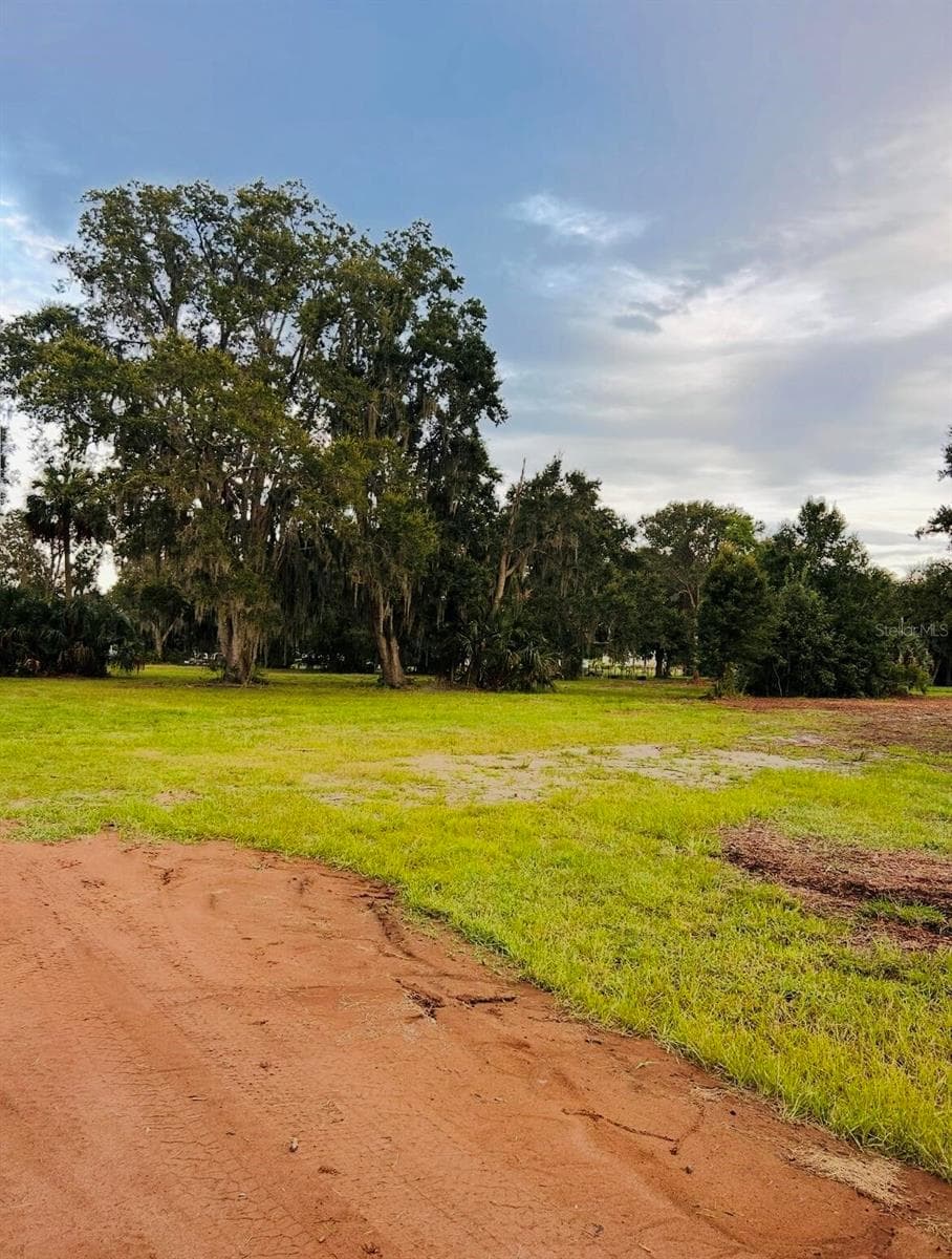 Land at 0 FAVORETTA RD, BUNNELL, photo 4 of 6