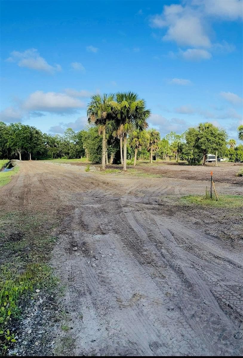 Land at 0 FAVORETTA RD, BUNNELL, photo 5 of 6