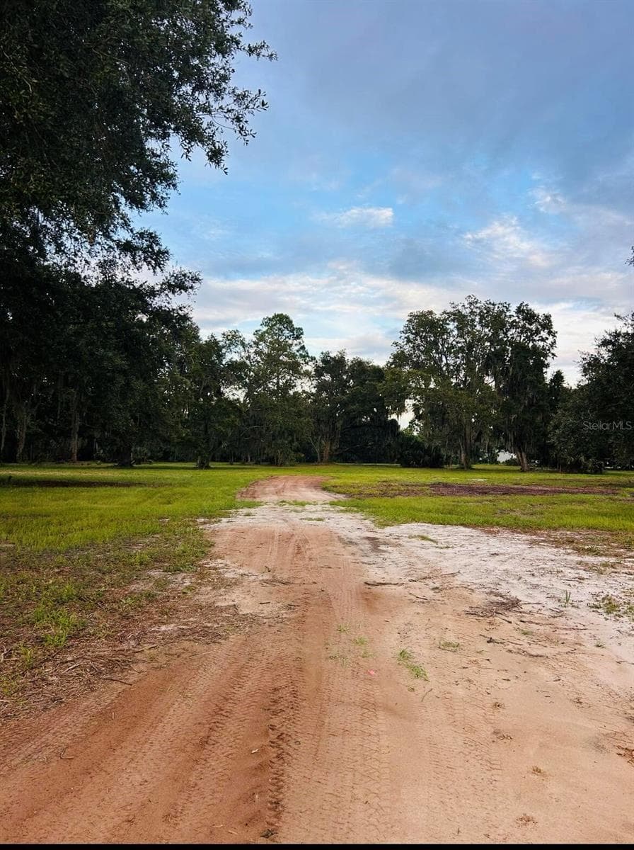 Land at 0 FAVORETTA RD, BUNNELL, photo 6 of 6