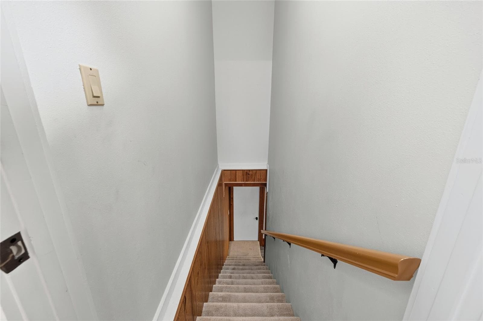 Basement Stairs - 1731 SE CLATTER BRIDGE RD, OCALA