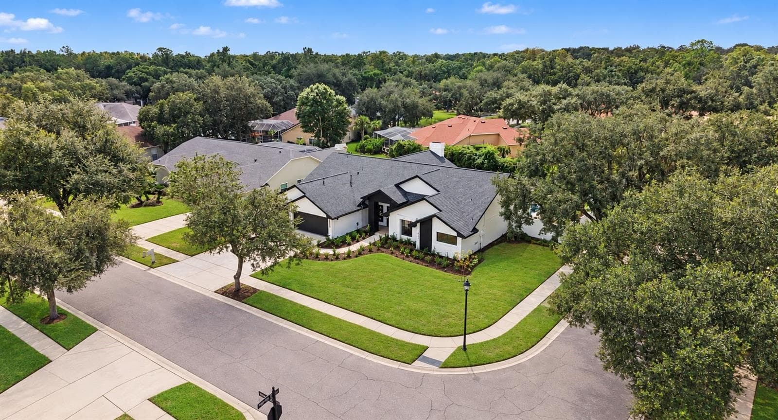 Aerial View - 4901 HALLSTEAD WAY, TAMPA