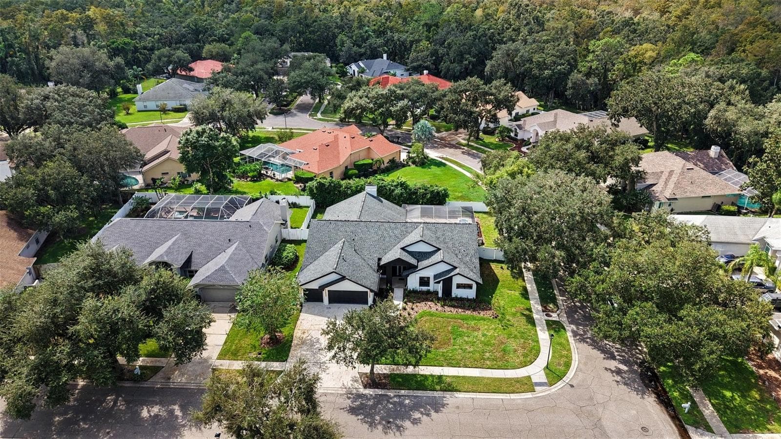 Aerial View - 4901 HALLSTEAD WAY, TAMPA