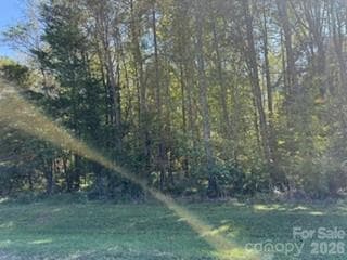 Lot at 0 Washington Drive, Yadkinville, photo 2 of 4