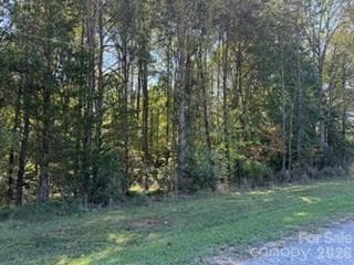 Lot at 0 Washington Drive, Yadkinville, photo 3 of 4