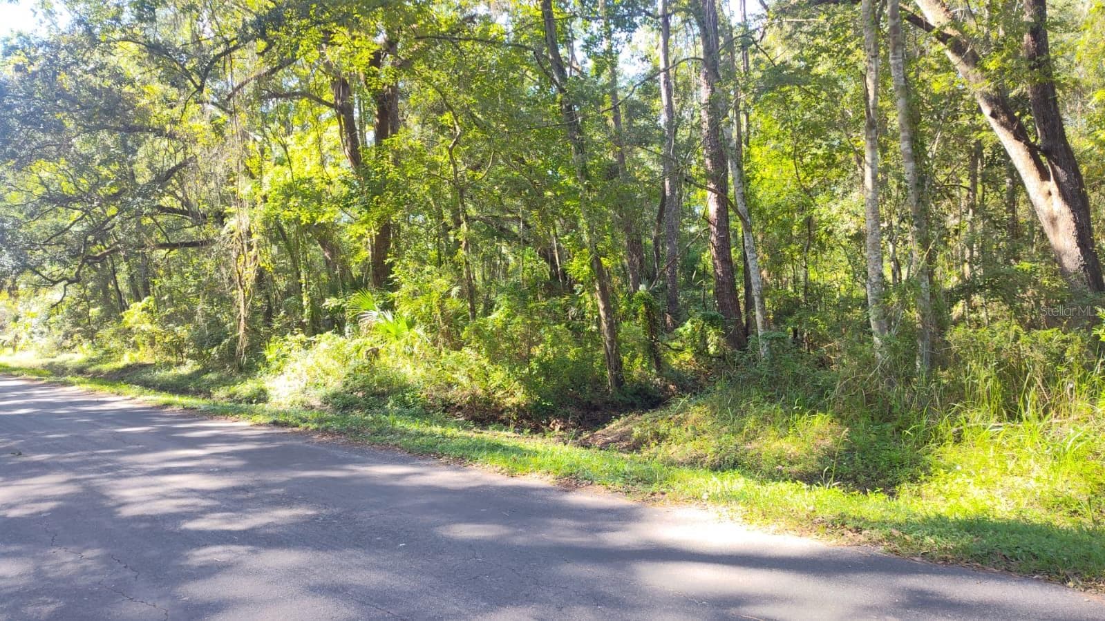 Land at 19289 CENTER ST, BROOKSVILLE, photo 3 of 6