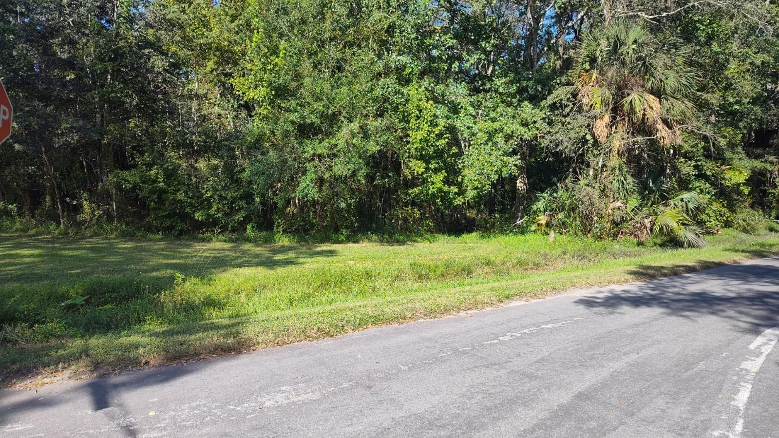 Land at 19289 CENTER ST, BROOKSVILLE, photo 6 of 6