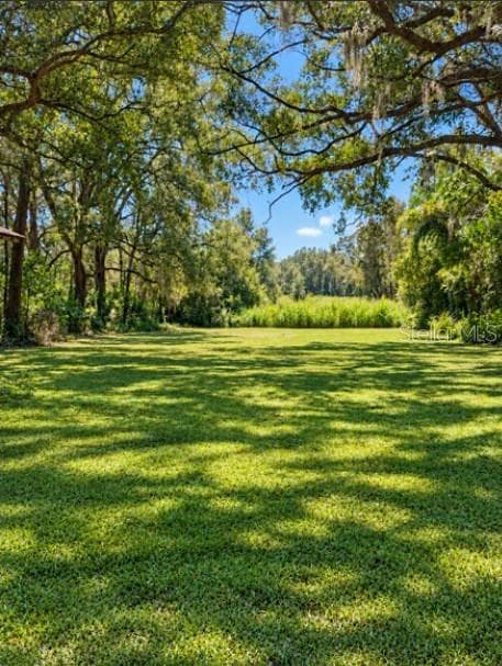 Back Yard - 16421 HANNA RD, LUTZ