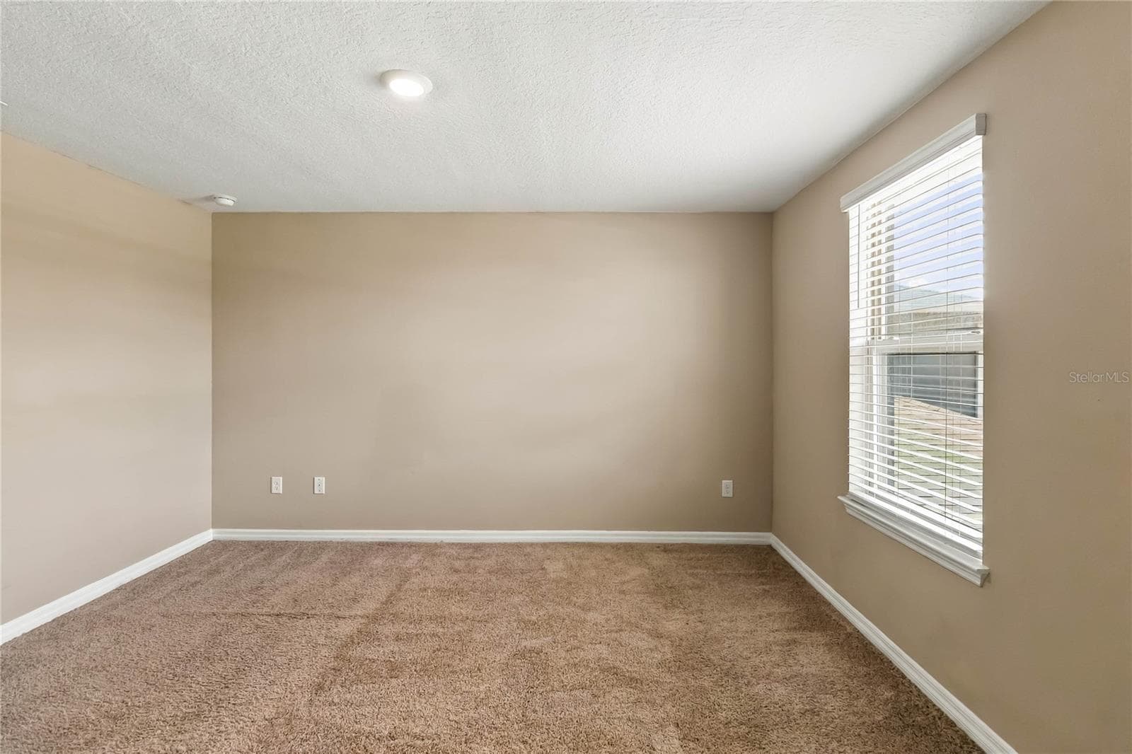 Primary Room - 10114 SALT POINT DR, WINTER GARDEN