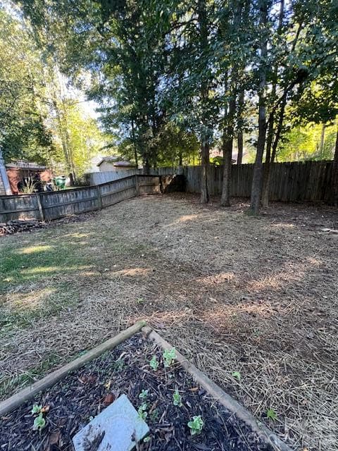 Backyard - 21411 Aftonshire Drive, Cornelius