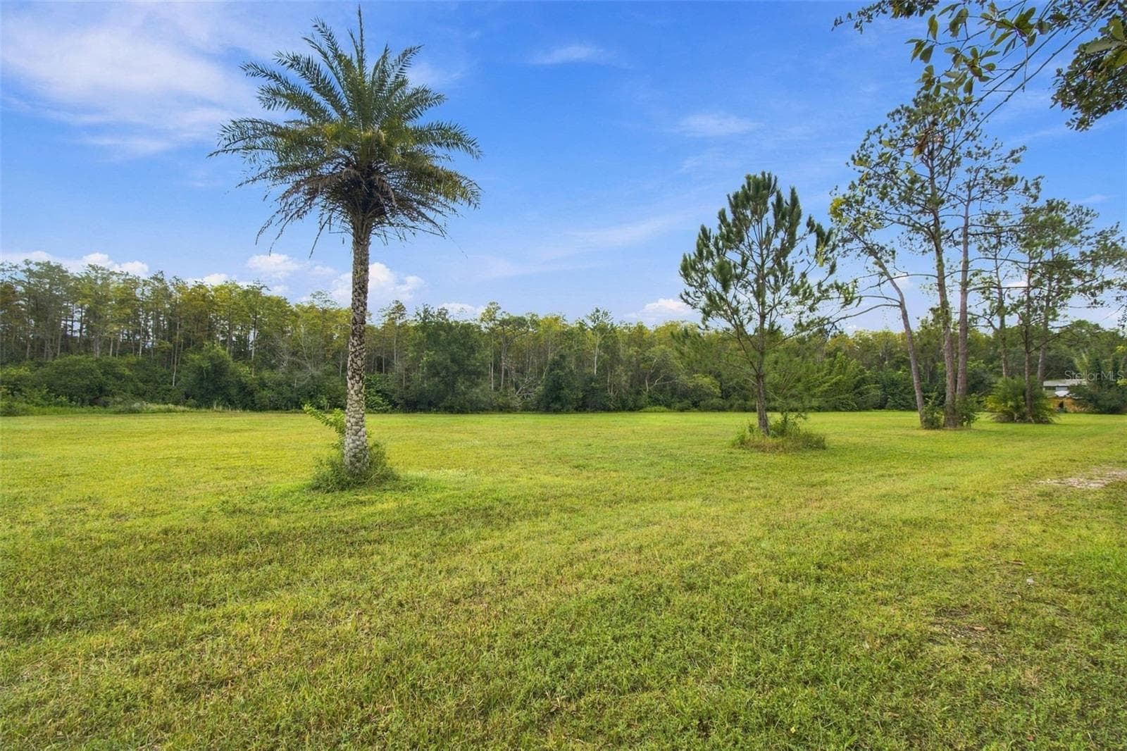 Land at 19135 N DALE MABRY HWY, LUTZ, photo 3 of 52