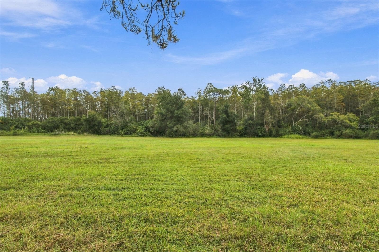 Land at 19135 N DALE MABRY HWY, LUTZ, photo 4 of 52