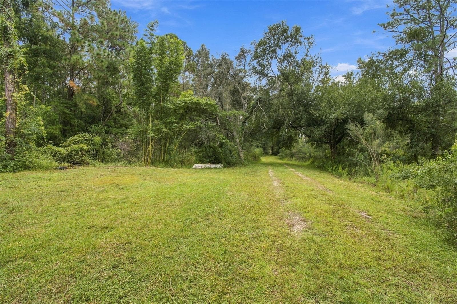 Land at 19135 N DALE MABRY HWY, LUTZ, photo 8 of 52