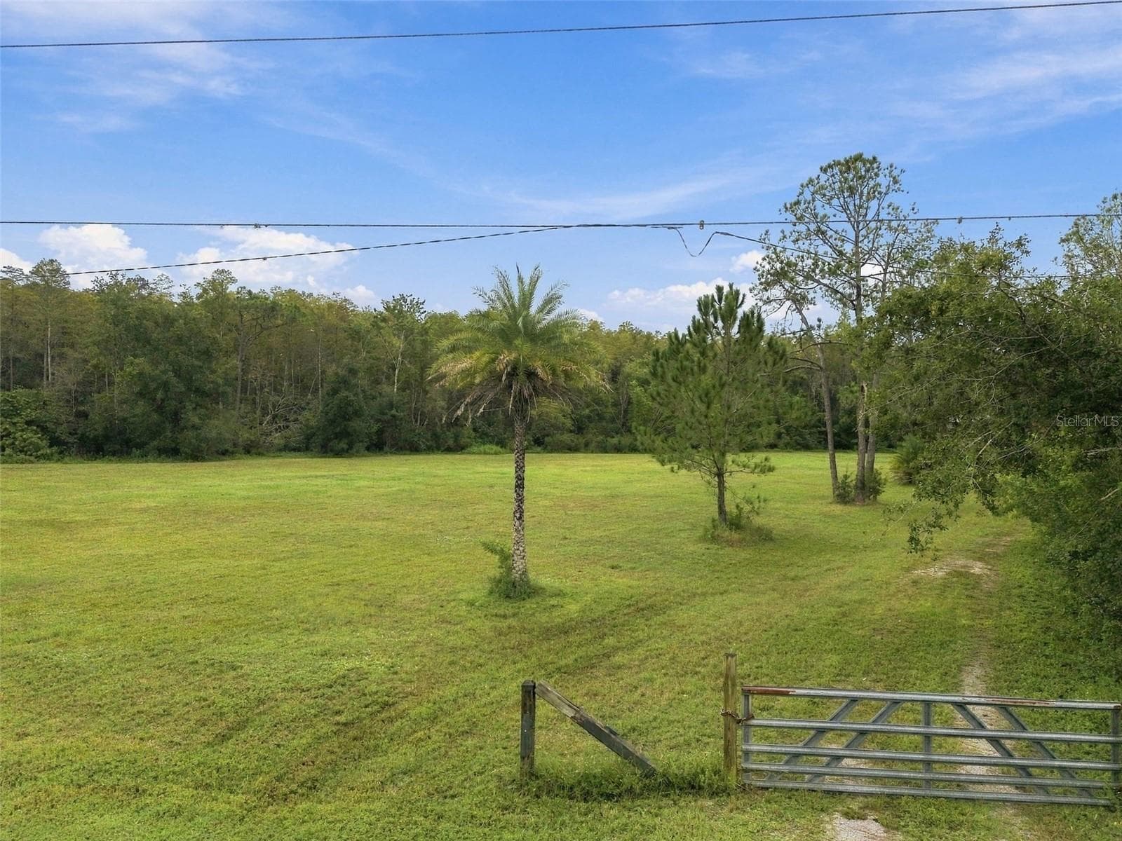 Land at 19135 N DALE MABRY HWY, LUTZ, photo 19 of 52