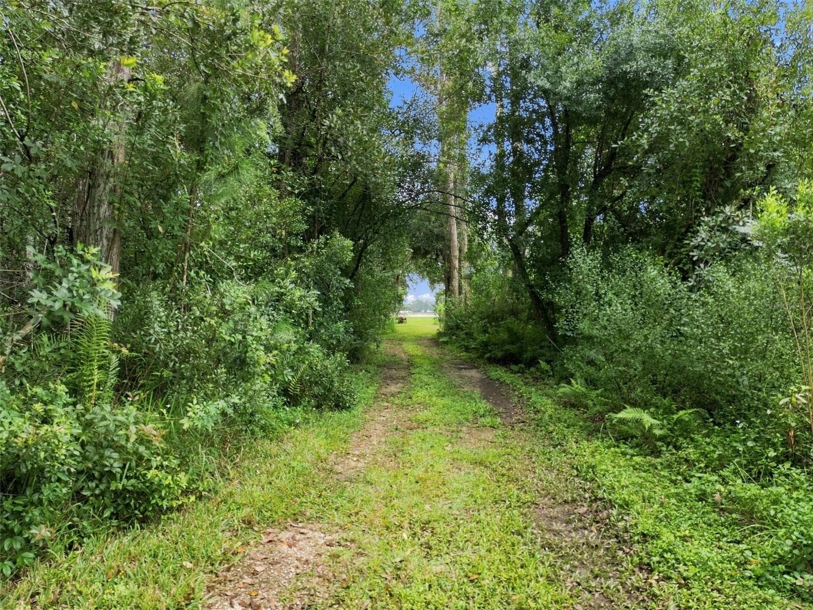 Land at 19135 N DALE MABRY HWY, LUTZ, photo 49 of 52