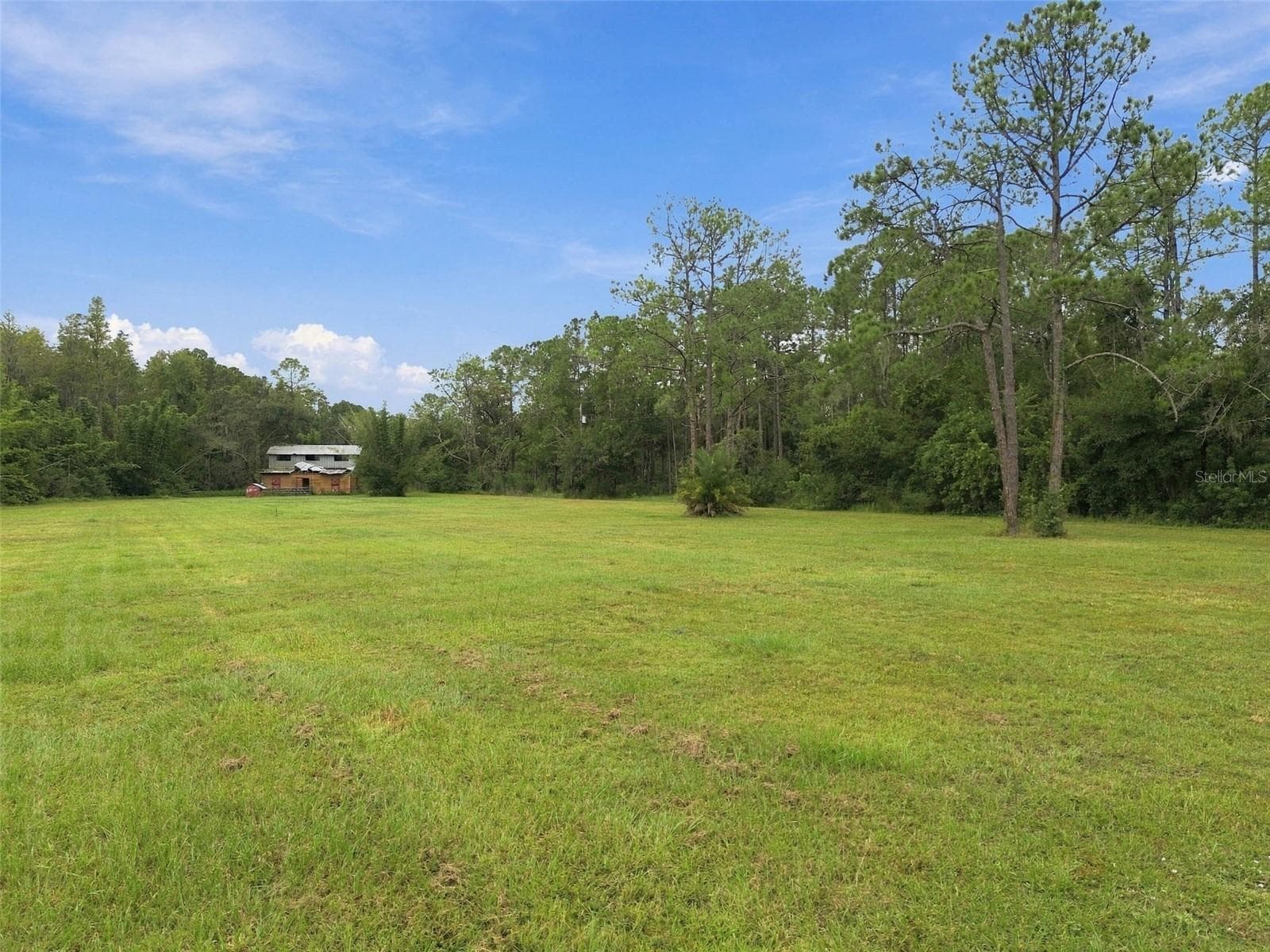 Land at 19135 N DALE MABRY HWY, LUTZ, photo 50 of 52