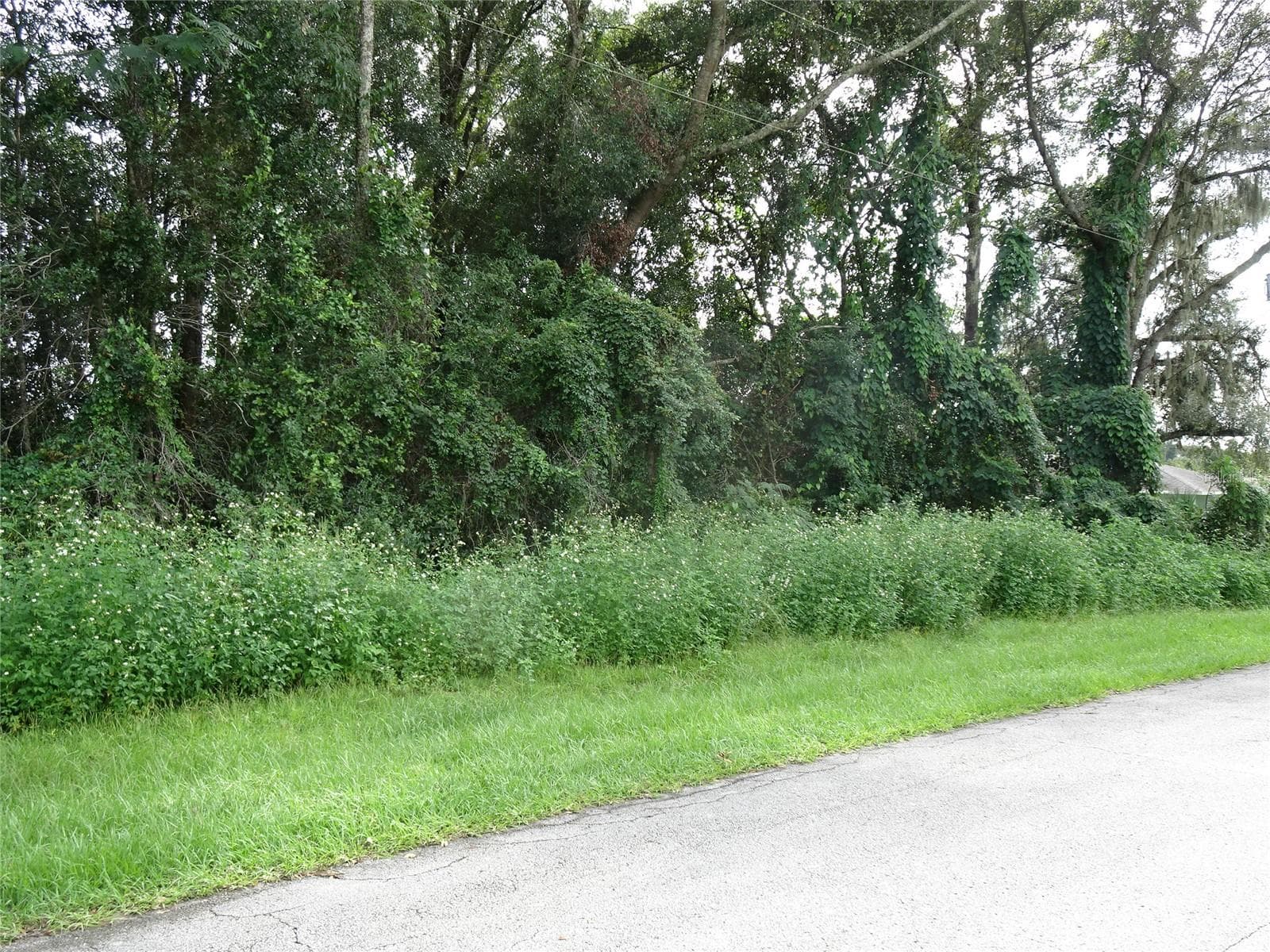 Land at 00 NW 67TH ST, OCALA, photo 2 of 4