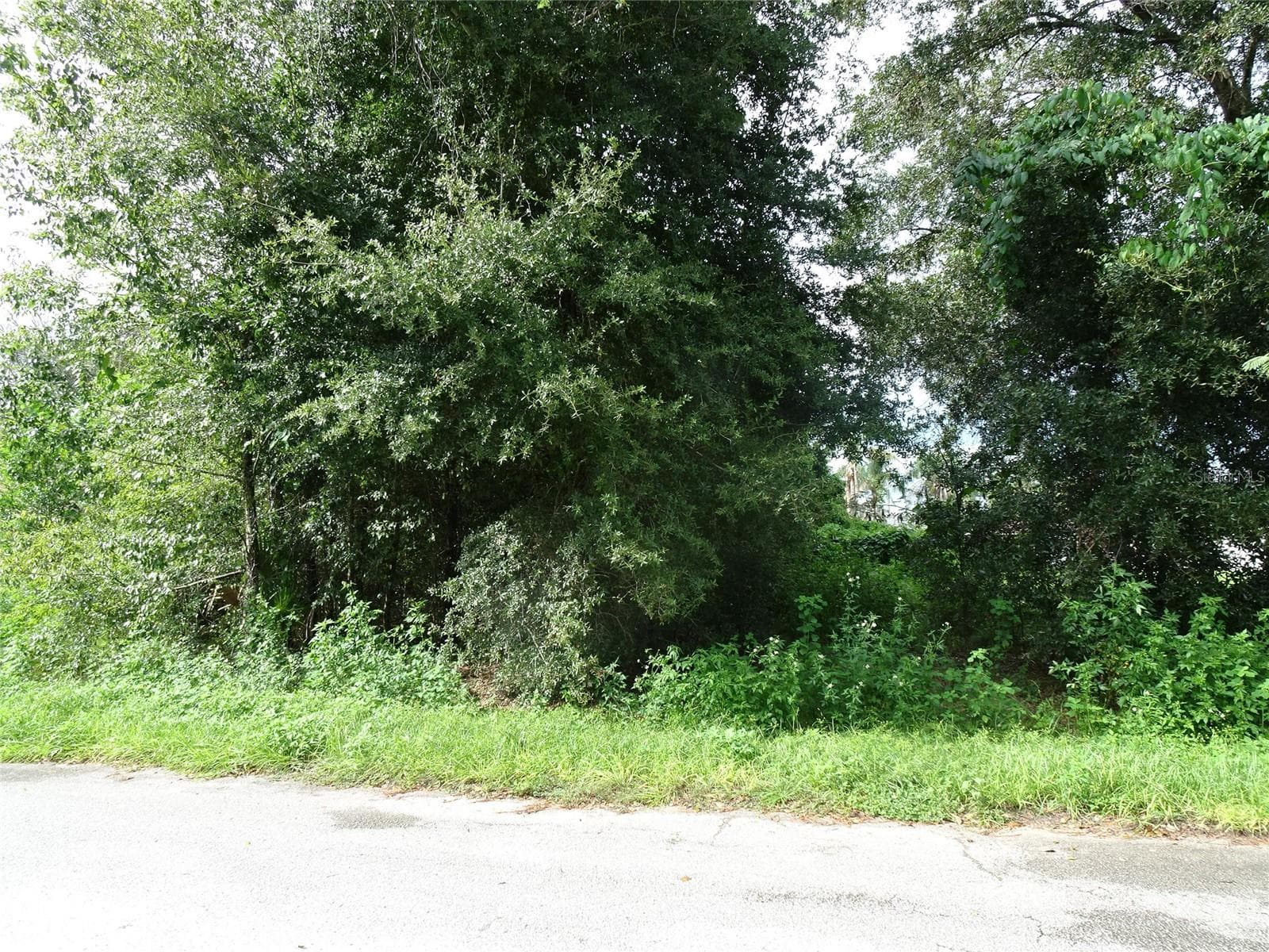 Land at 00 NW 67TH ST, OCALA, photo 4 of 4