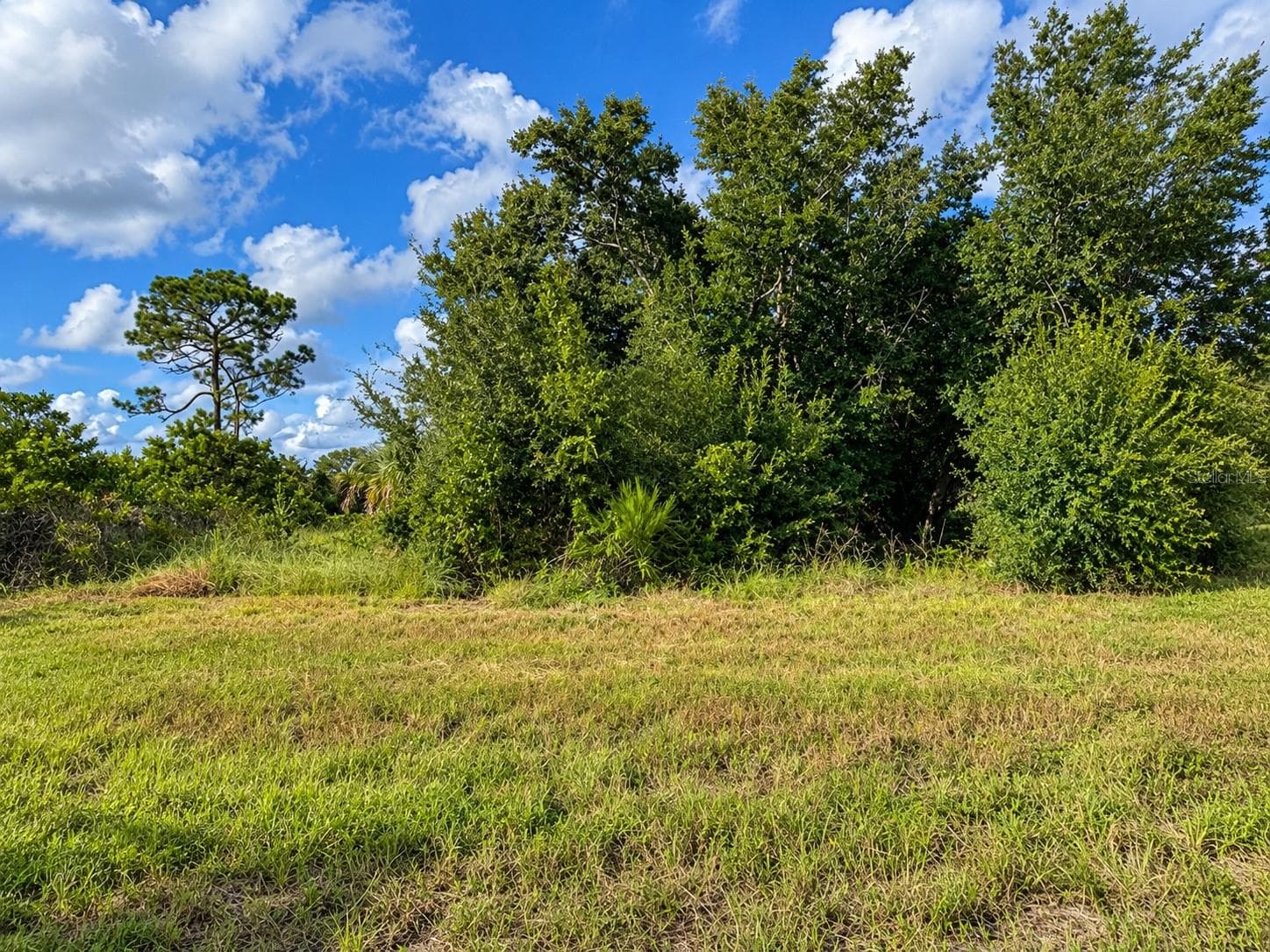 Land at 16 POLAR CT, PLACIDA, photo 2 of 6