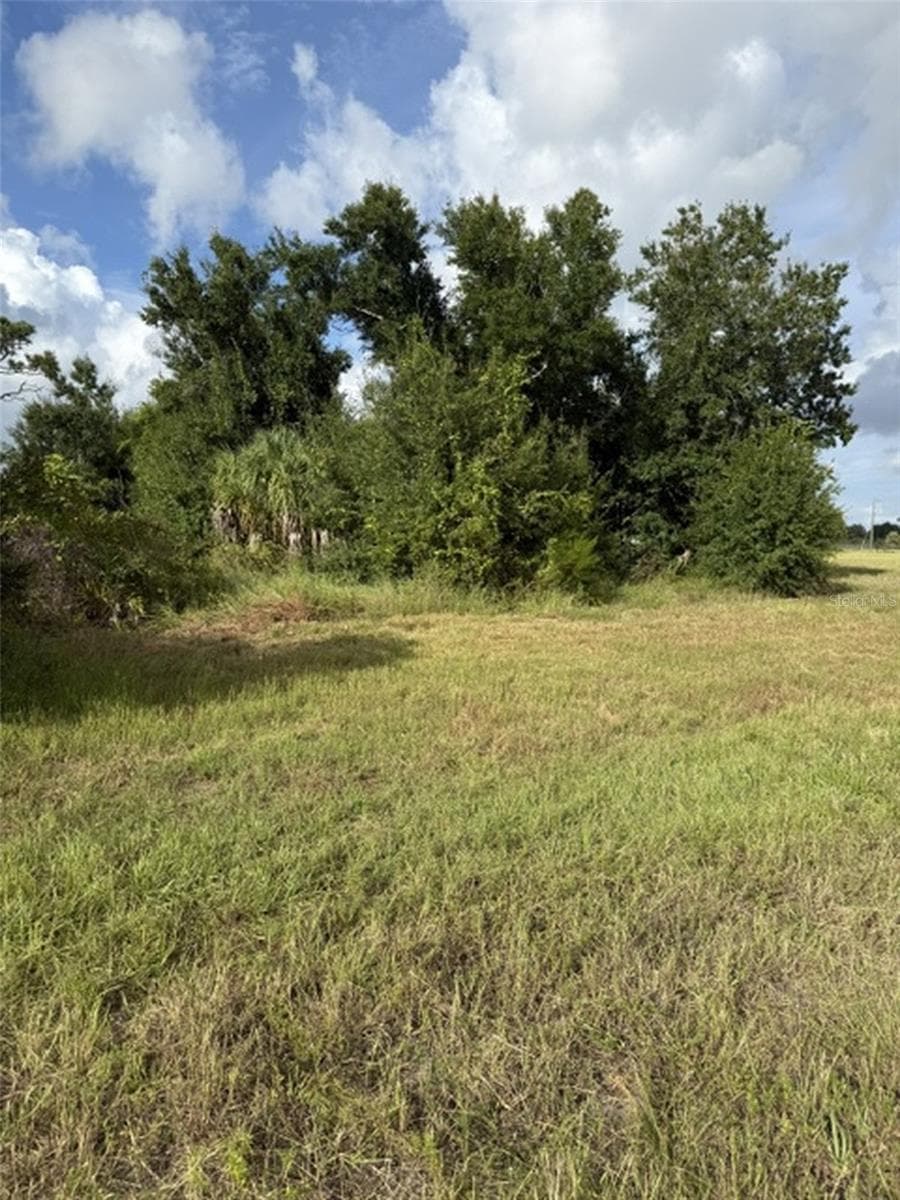 Land at 16 POLAR CT, PLACIDA, photo 4 of 6