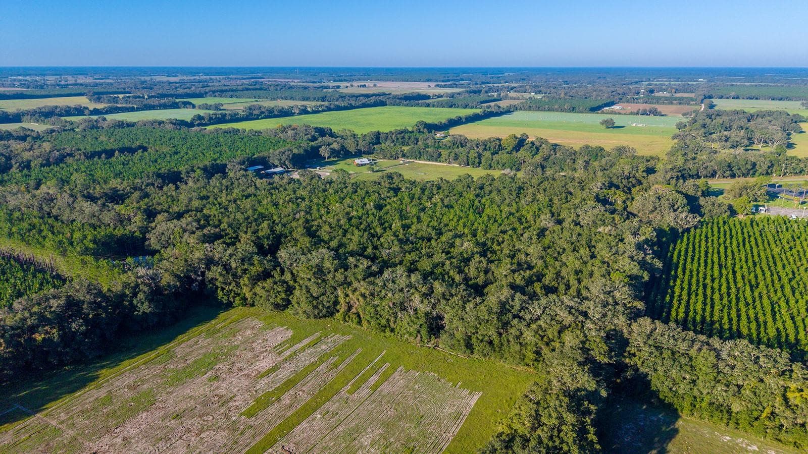 Land at TBD 00 NW COUNTY ROAD 339, TRENTON, photo 11 of 15