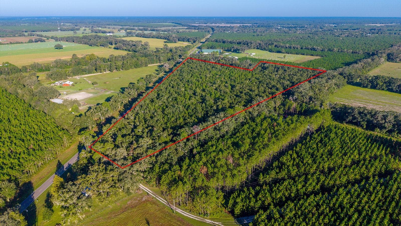 Land at TBD 00 NW COUNTY ROAD 339, TRENTON, photo 12 of 15