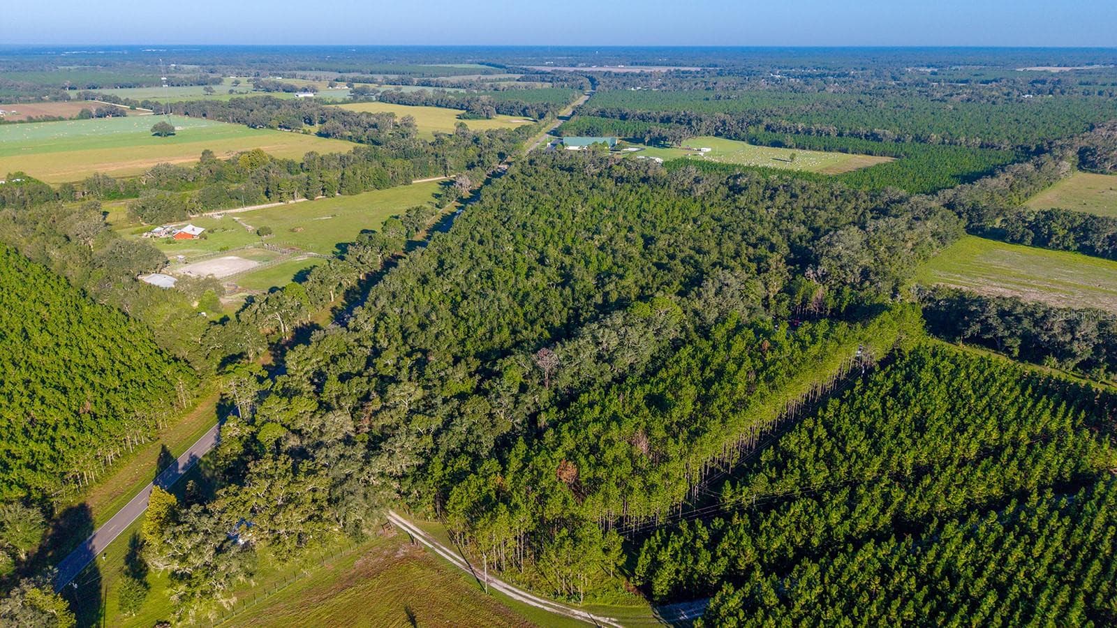 Land at TBD 00 NW COUNTY ROAD 339, TRENTON, photo 13 of 15