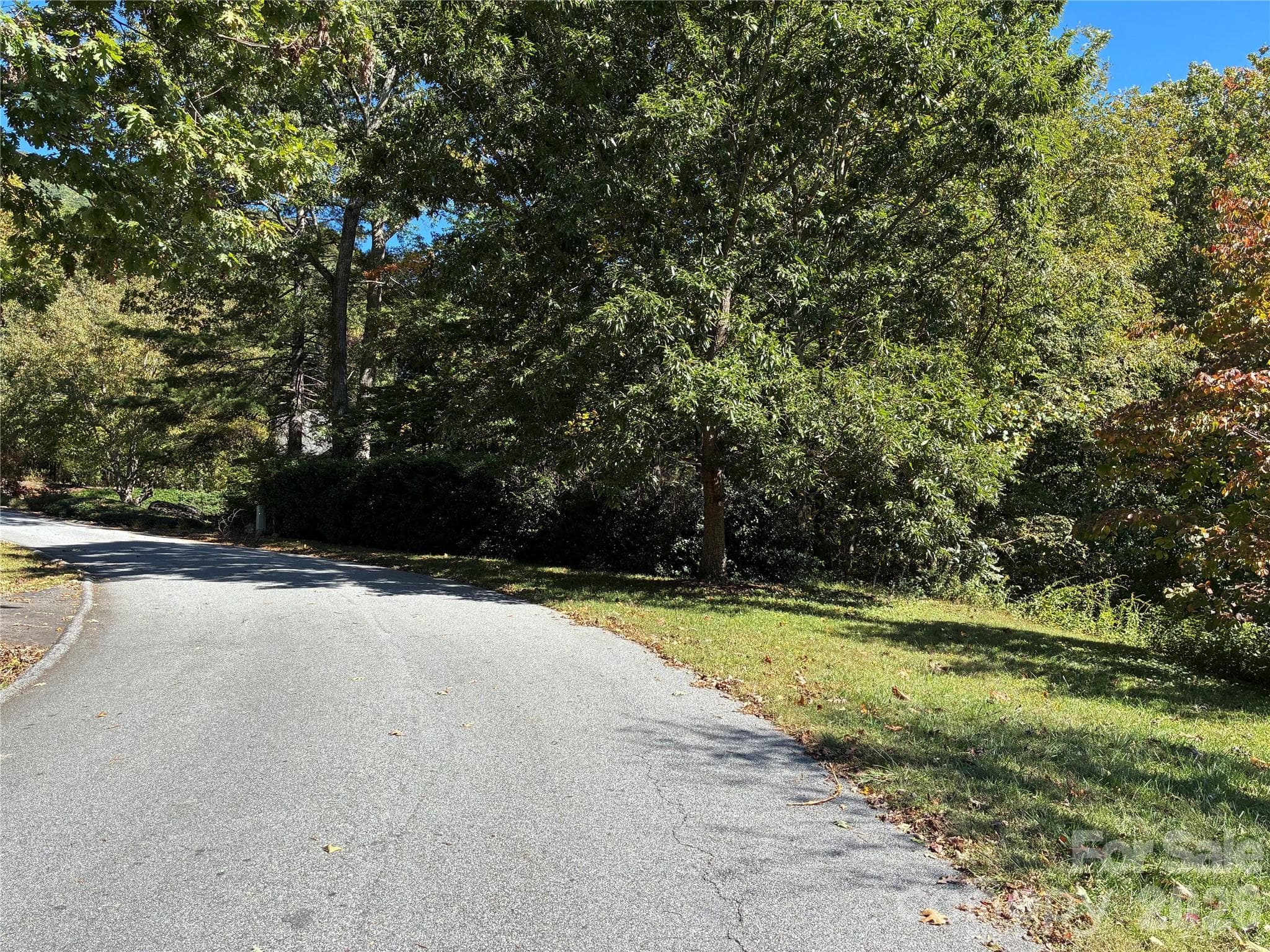 Lot at 99999 Cliffview Drive, Asheville, photo 2 of 18