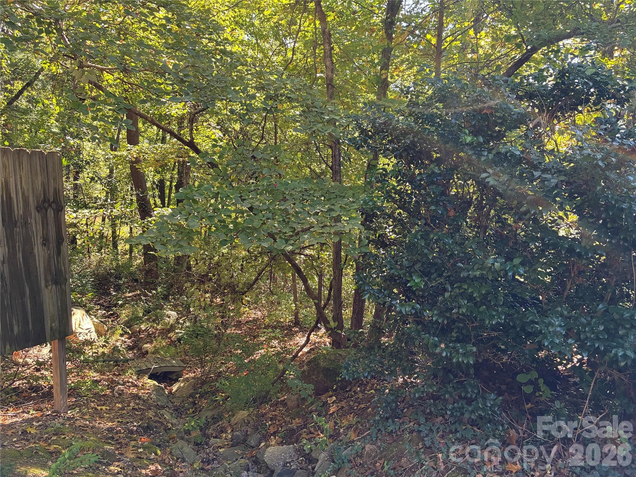 Lot at 99999 Cliffview Drive, Asheville, photo 5 of 18