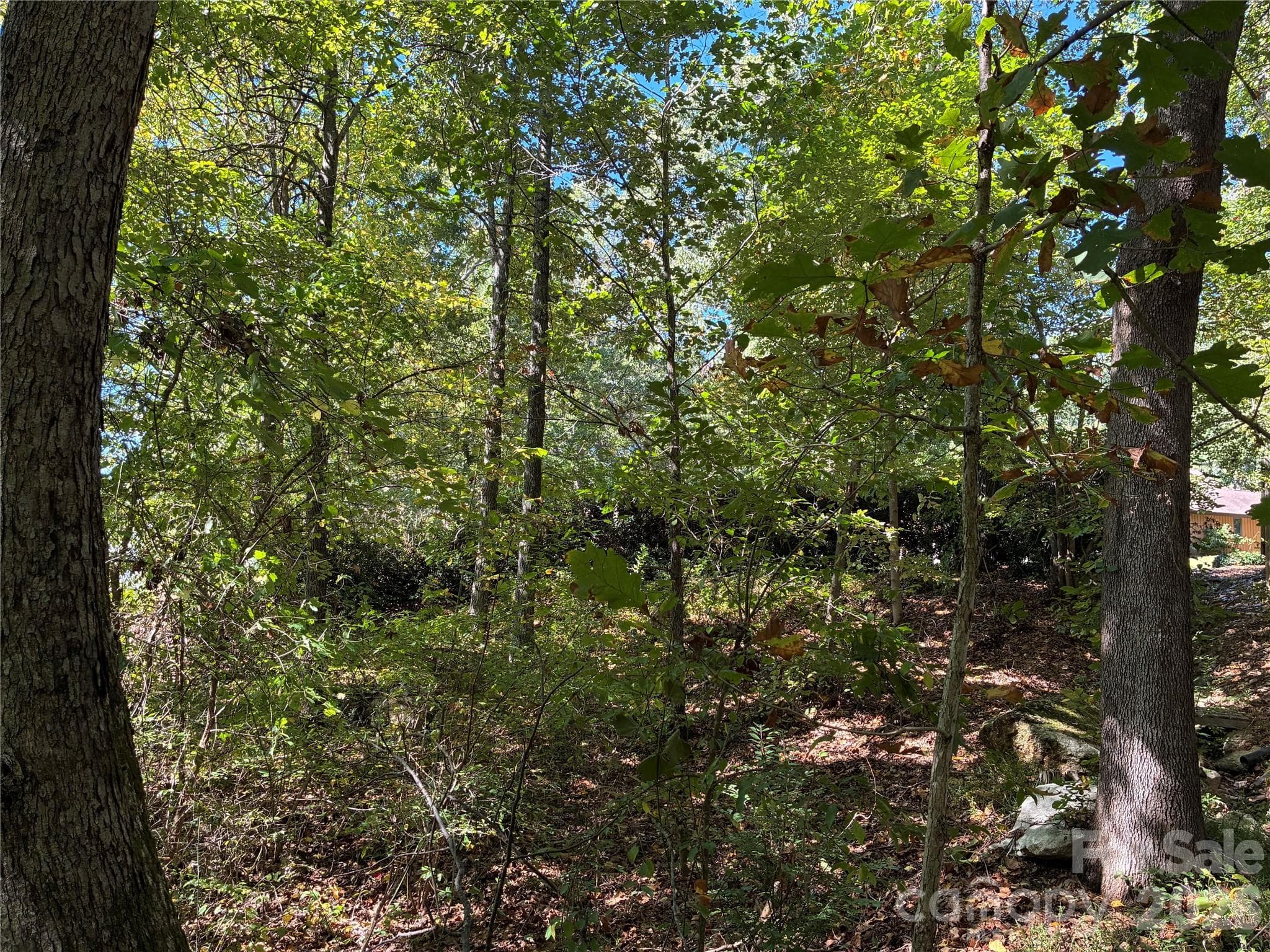 Lot at 99999 Cliffview Drive, Asheville, photo 7 of 18