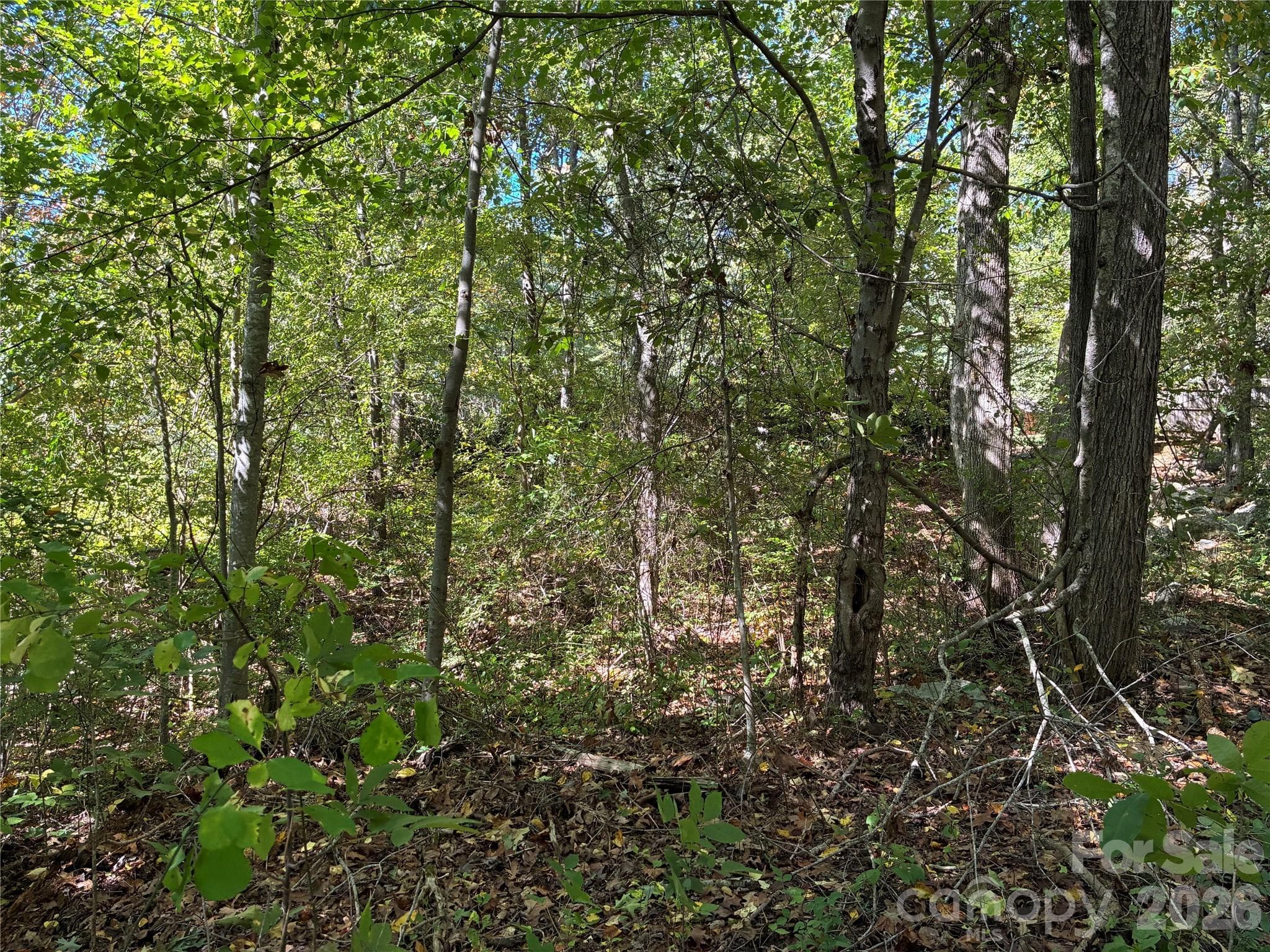 Lot at 99999 Cliffview Drive, Asheville, photo 10 of 18